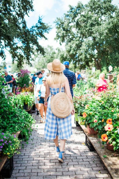 Kristynefarmersmarket08-04-18-0805